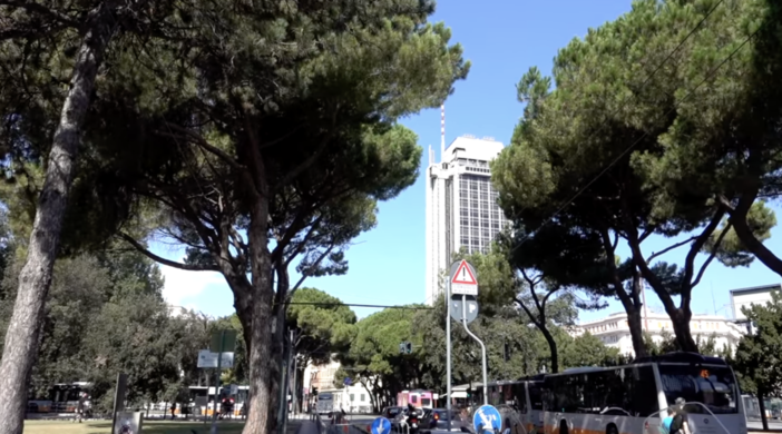 "Uno scempio urbano”: la disperazione di Italia Nostra per l’abbattimento dei pini secolari di viale Thaon di Revel "Uno scempio urbano”: la disperazione di Italia Nostra per l’abbattimento dei pini secolari di viale Thaon di Revel