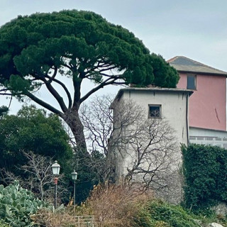 Foto: Andrea Giuseppe Augusto Agostini