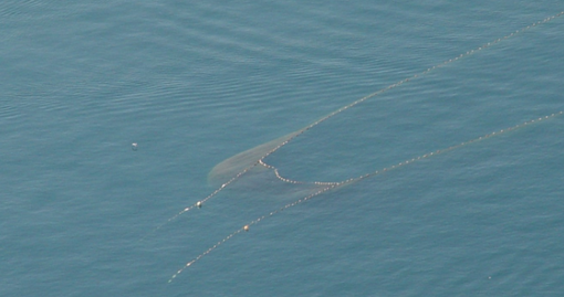 Comitato 'Tutti per il parco nazionale di Portofino': &quot;Questa è un'area protetta nazionale&quot;