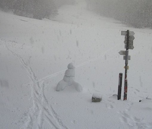 Nevicata copiosa a Prato Cipolla, torna il pupazzo di neve a forma di fallo che fa impazzire il web