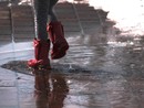 Cambia il tempo sulla Liguria: da lunedì pioggia e temperature in diminuzione. Arpal: "Attenzione all'innalzamento dei corsi d’acqua" Cambia il tempo sulla Liguria: da lunedì pioggia e temperature in diminuzione. Arpal: "Attenzione all'innalzamento dei corsi d’acqua"