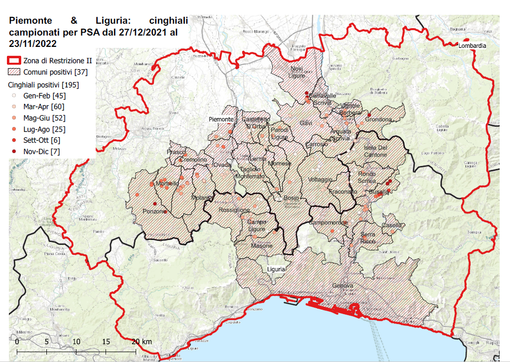 Peste suina, nuovo caso a Busalla. 70 i casi finora accertati in Liguria Peste suina, nuovo caso a Busalla. 70 i casi finora accertati in Liguria