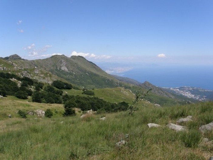 Federparchi Liguria al ministro Cingolani: &quot;Integrare i parchi regionali nel sistema nazionale&quot;