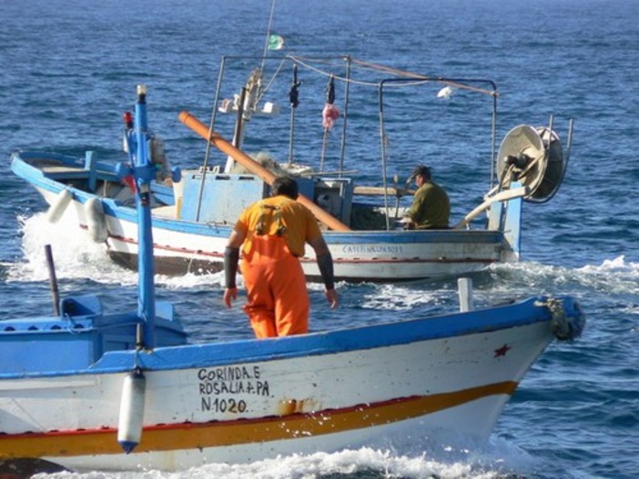 Riduzione delle giornate di pesca, Coldiretti: "In Liguria a rischio 500 imbarcazioni e diverse imprese"