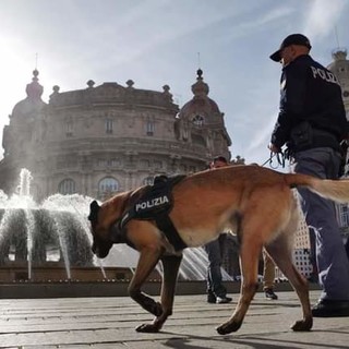 Sicurezza, il bilancio dei mesi di settembre e ottobre della Questura: centodiciotto arresti e ventuno mila persone identificate