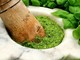 La Liguria a tutto Pesto: sabato 10 a “FICO Eataly World” con il presidente Toti La Liguria a tutto Pesto: sabato 10 a “FICO Eataly World” con il presidente Toti