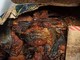 Oltre 60 kg di pesce 'illegale' sequestrato al Terminal Traghetti
