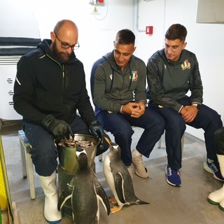 I piccoli pinguini dell'Acquario hanno dei "padrini" d'eccezione: gli atleti della Federazione Italiana Rugby