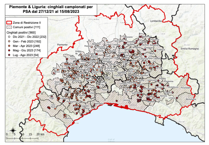 Peste suina, 900 le positività accertate: primo caso a Propata