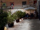 “Via le piante, ma restano le auto in sosta vietata”: la rabbia dei commercianti di Piazza dello Statuto “Via le piante, ma restano le auto in sosta vietata”: la rabbia dei commercianti di Piazza dello Statuto