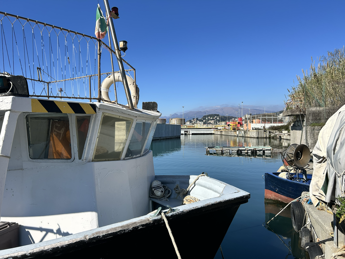 Bando pesca, la Regione proroga i termini: un mese in più per i progetti nei porti liguri