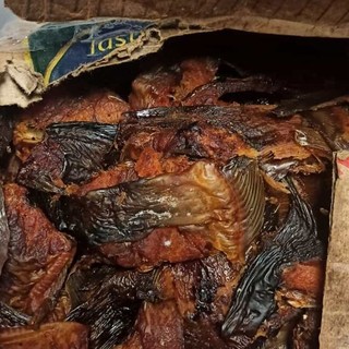 Oltre 60 kg di pesce 'illegale' sequestrato al Terminal Traghetti