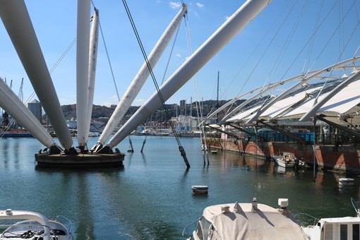 &quot;AmA GENOVA&quot;, i campioni del pattinaggio  in ricordo della tragedia di Ponte Morandi