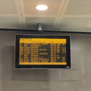 Treni, mattinata di disagi sulla linea ferroviaria Recco-Genova: circolazione sospesa per un pino caduto