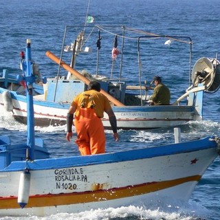 Riduzione delle giornate di pesca, Coldiretti: "In Liguria a rischio 500 imbarcazioni e diverse imprese"