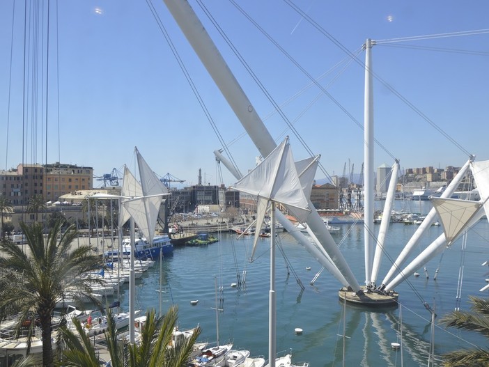 Al porto antico di Genova nasce il primo centro estivo per l’orientamento d’Italia