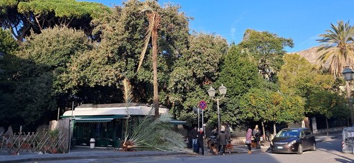 Foto: Nervi a pezzi Facebook Foto: Nervi a pezzi Facebook