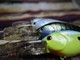 Cosa serve per la pesca: attrezzatura e abbigliamento Cosa serve per la pesca: attrezzatura e abbigliamento