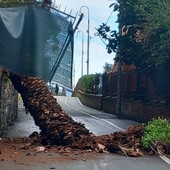 Foto Facebook Giovanna Pucci