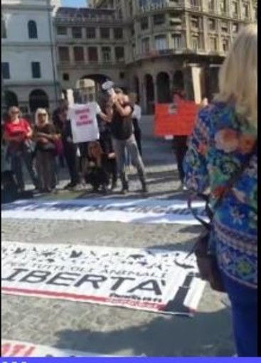 Animalisti genovesi protestano davanti la Regione e all'Acquario: &quot;Siete schiavisti, lasciateli liberi&quot; (Video)