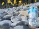 Inquinamento: per l'indagine Beach Litter 2020 di Legambiente in Liguria abbonda il polistirolo da attività di pesca