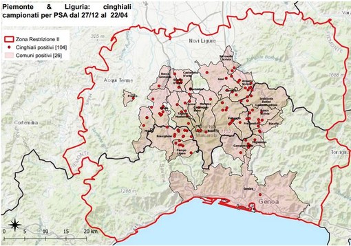 Peste suina, salgono a 104 i casi, tre nuovi ritrovamenti a Campo Ligure, Carrosio e a Serravalle Scrivia Peste suina, salgono a 104 i casi, tre nuovi ritrovamenti a Campo Ligure, Carrosio e a Serravalle Scrivia