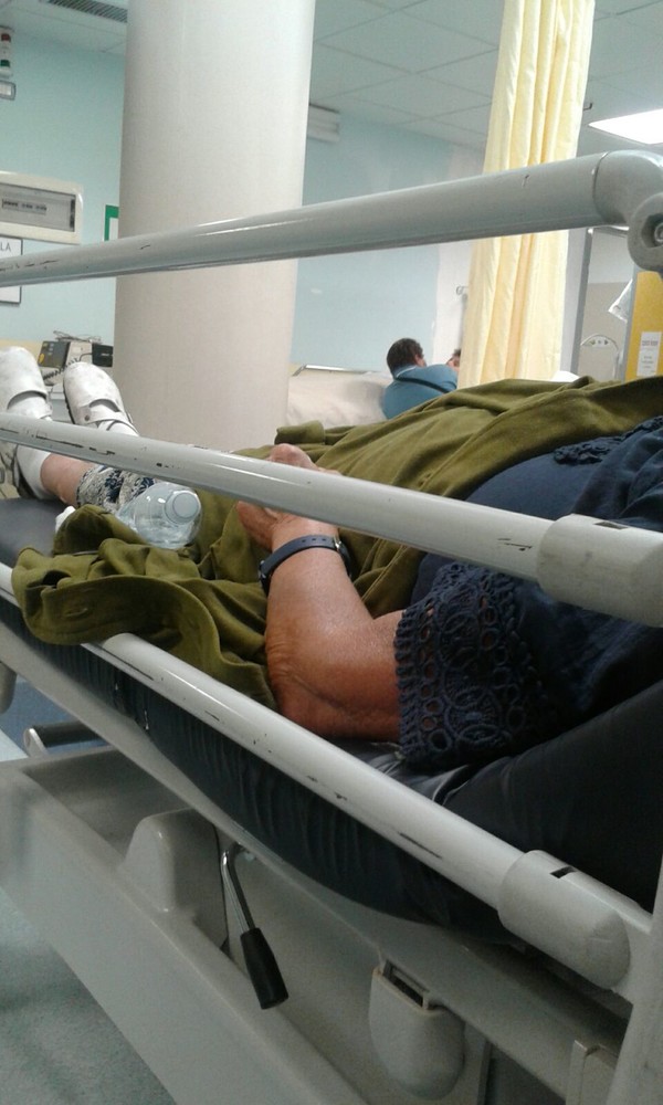 Emergenza Caldo, l'assessore Viale replica a Rossetti: &quot;Si informi sul piano caldo&quot;