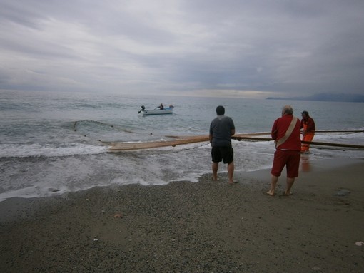 Aumento Iva, Coldiretti Liguria: "Necessario dire stop all'aumento per tutelare produttori e famiglie" Aumento Iva, Coldiretti Liguria: "Necessario dire stop all'aumento per tutelare produttori e famiglie"