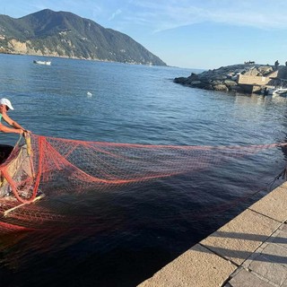Recco: funzionano le reti posate per proteggere il fondale marino durante i fuochi