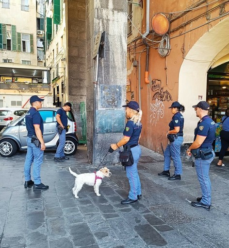 Controlli anticrimine nei caruggi: tre denunciati e 88 persone identificate Controlli anticrimine nei caruggi: tre denunciati e 88 persone identificate