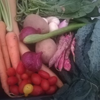 Consumi, la dieta per rafforzare il sistema immunitario fa volare del 16 per cento l'ortofrutta Consumi, la dieta per rafforzare il sistema immunitario fa volare del 16 per cento l'ortofrutta