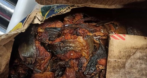 Oltre 60 kg di pesce 'illegale' sequestrato al Terminal Traghetti