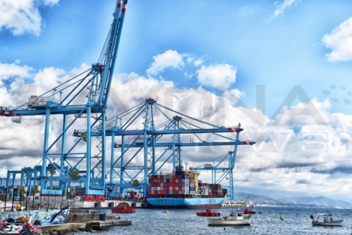 Mandorle contaminate a Vado, Coldiretti: “Bene lo stop del Tar per la tutela della salute pubblica” Mandorle contaminate a Vado, Coldiretti: “Bene lo stop del Tar per la tutela della salute pubblica”