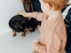 Pet therapy nelle scuole comunali, via libera alla mozione della Lega: “Non è solo gioco, ma educazione e crescita”