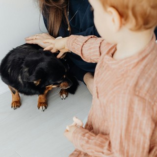 Pet therapy nelle scuole comunali, via libera alla mozione della Lega: “Non è solo gioco, ma educazione e crescita”