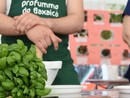 Foto Facebook Profumo di Basilico