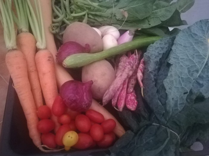 Consumi, la dieta per rafforzare il sistema immunitario fa volare del 16 per cento l'ortofrutta Consumi, la dieta per rafforzare il sistema immunitario fa volare del 16 per cento l'ortofrutta