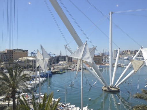 Porto Antico partner Aworld: ecco la app scelta dalle nazioni unite per la campagna Actnow contro il cambiamento climatico Porto Antico partner Aworld: ecco la app scelta dalle nazioni unite per la campagna Actnow contro il cambiamento climatico