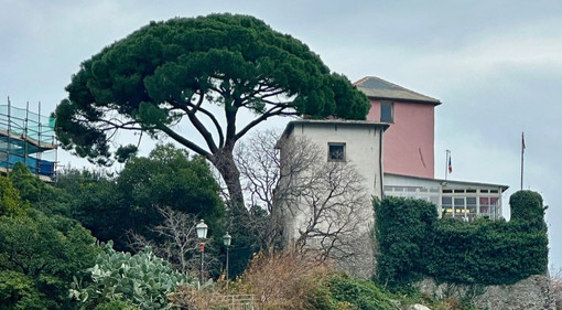 Foto: Andrea Giuseppe Augusto Agostini