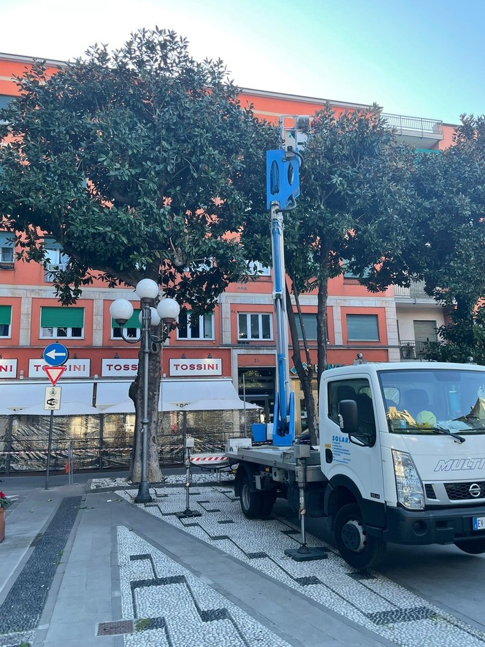 Recco: al via le potature in piazza Nicoloso