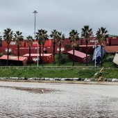 Foto Facebook - I container caduti lo scorso 15 novembre