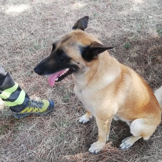 Lavagna, ritrovato dai vigili del fuoco il 91enne disperso da giovedì