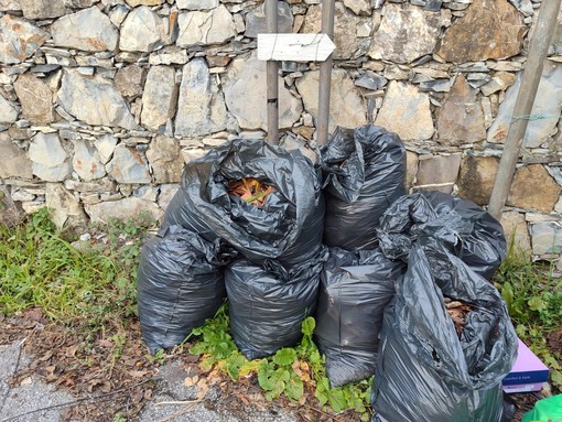 Rifiuti abbandonati in Valbisagno: due responsabili identificati grazie alle targhe