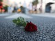 Giornata delle vittime della strada, Vaccarezza (Cambiamo!): "Impegno e attenzione per salvare migliaia di vite. Dipende da noi" Giornata delle vittime della strada, Vaccarezza (Cambiamo!): "Impegno e attenzione per salvare migliaia di vite. Dipende da noi"