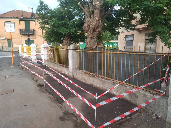 Via Piacenza, rimosso l'ex gabbiotto dei fiori, Bordilli: "Demolito un simbolo di degrado" (FOTO)