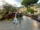 Recco: crollo di un pino per il maltempo e abbattimento di un secondo albero a rischio in passeggiata a mare Recco: crollo di un pino per il maltempo e abbattimento di un secondo albero a rischio in passeggiata a mare