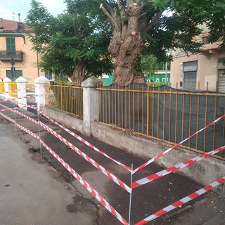 Via Piacenza, rimosso l'ex gabbiotto dei fiori, Bordilli: "Demolito un simbolo di degrado" (FOTO)