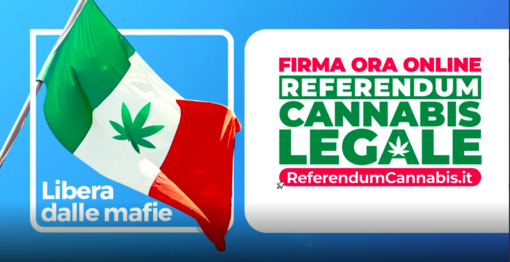 Referendum cannabis, anche Genova tra i comuni inadempienti diffidati dai promotori