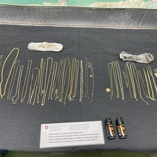 la refurtiva sequestrata in una foto dell'Ufficio federale della dogana e della sicurezza dei confini UDSC
