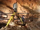 Ricostruita per la prima volta una camminata umana a carponi ‘fossile’